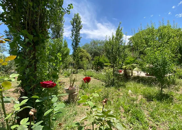 Cabanas El Abuelo